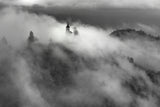 Fog Poster och Canvastavla