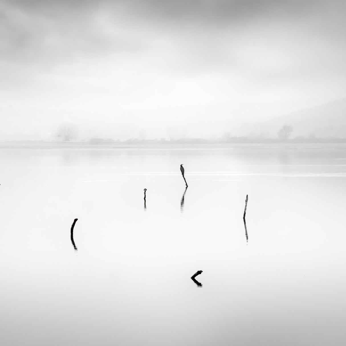 Kerkini Lake Poster och Canvastavla