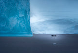 Facing an Iceberg Poster och Canvastavla
