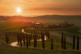 Tuscany evening Poster och Canvastavla