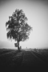 Behind the scenes Poster och Canvastavla