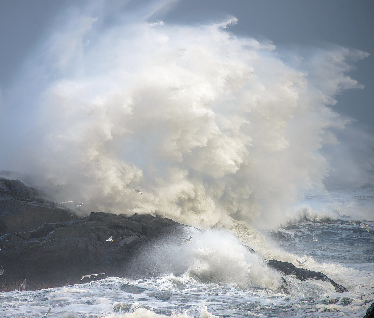 Storm Poster och Canvastavla