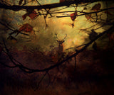Autumn Dreams... Poster och Canvastavla