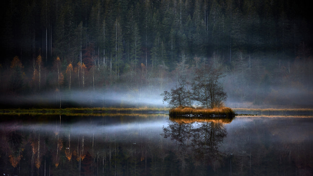 Foggy day Poster och Canvastavla