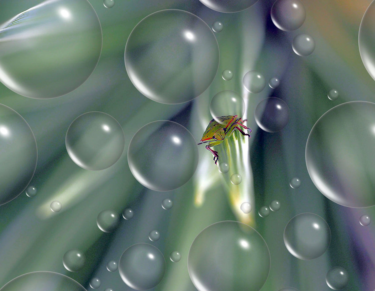 Passage between drops... Poster och Canvastavla