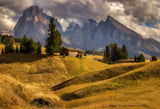 On a mountain meadow Poster och Canvastavla