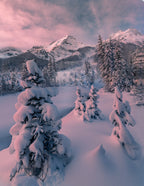 snowy winter Poster och Canvastavla