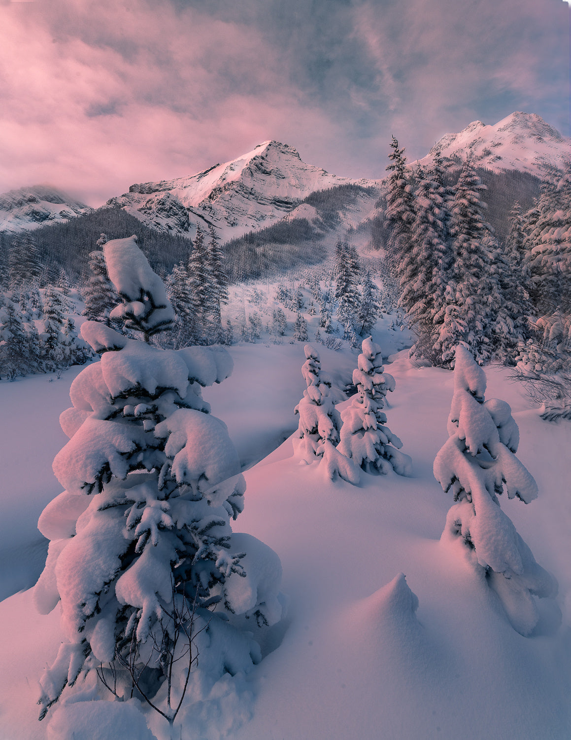 snowy winter Poster och Canvastavla