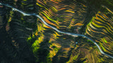The way of terraced fields Poster och Canvastavla