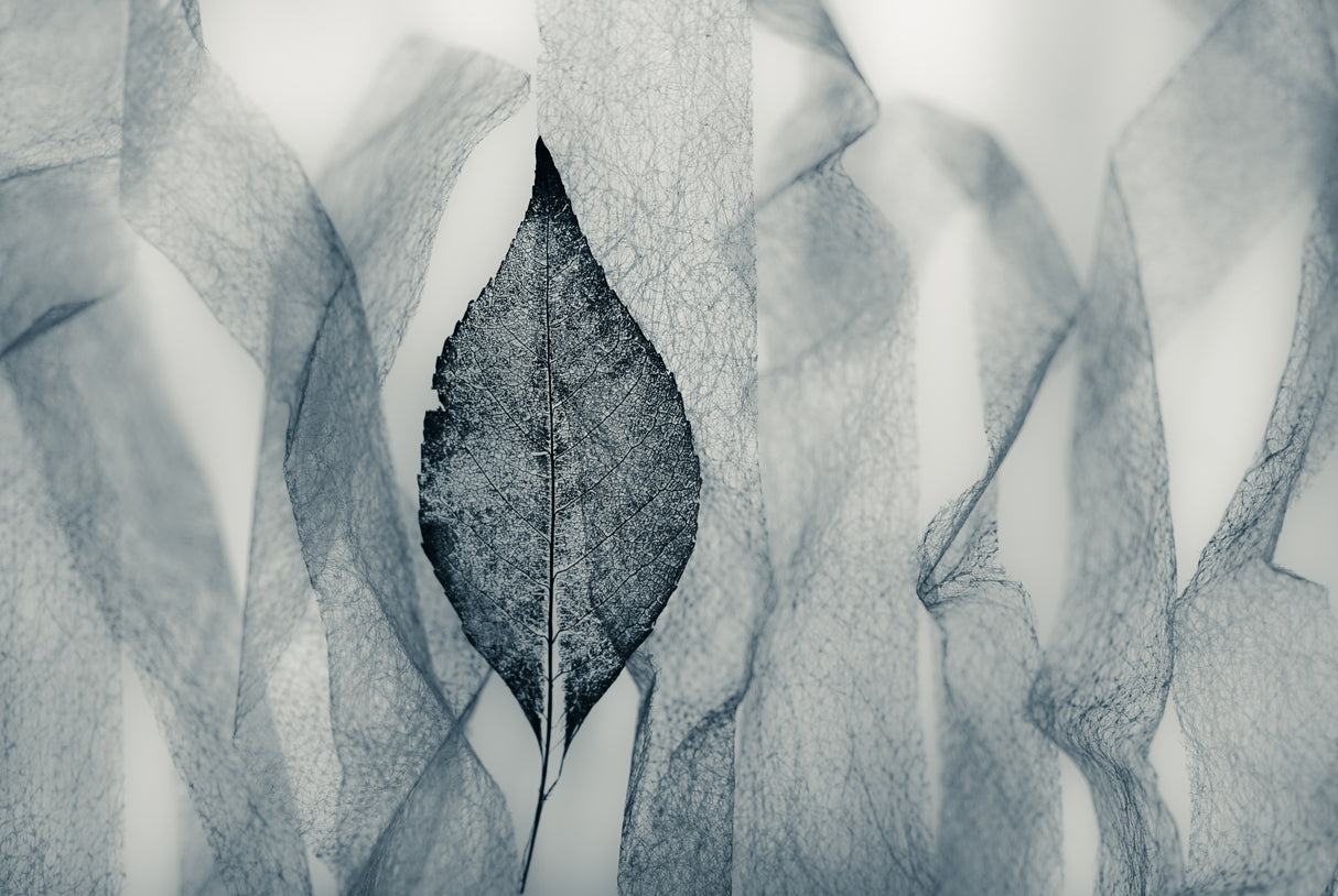Winter Ballad Poster och Canvastavla