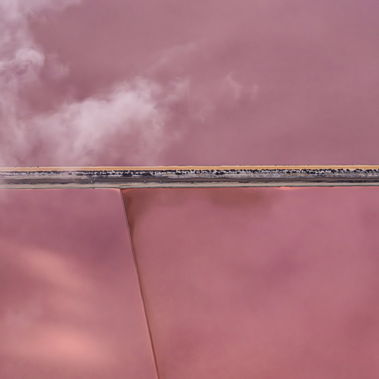 Fracture Poster och Canvastavla