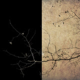 Last berries Poster och Canvastavla