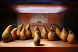 Judged By A Jury Of Your Pears Poster och Canvastavla