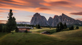 Summer morning Poster och Canvastavla