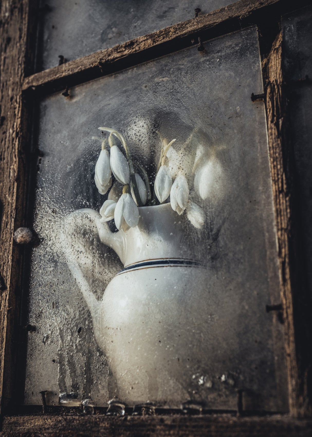 Spring flowers Poster och Canvastavla