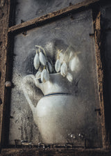 Spring flowers Poster och Canvastavla