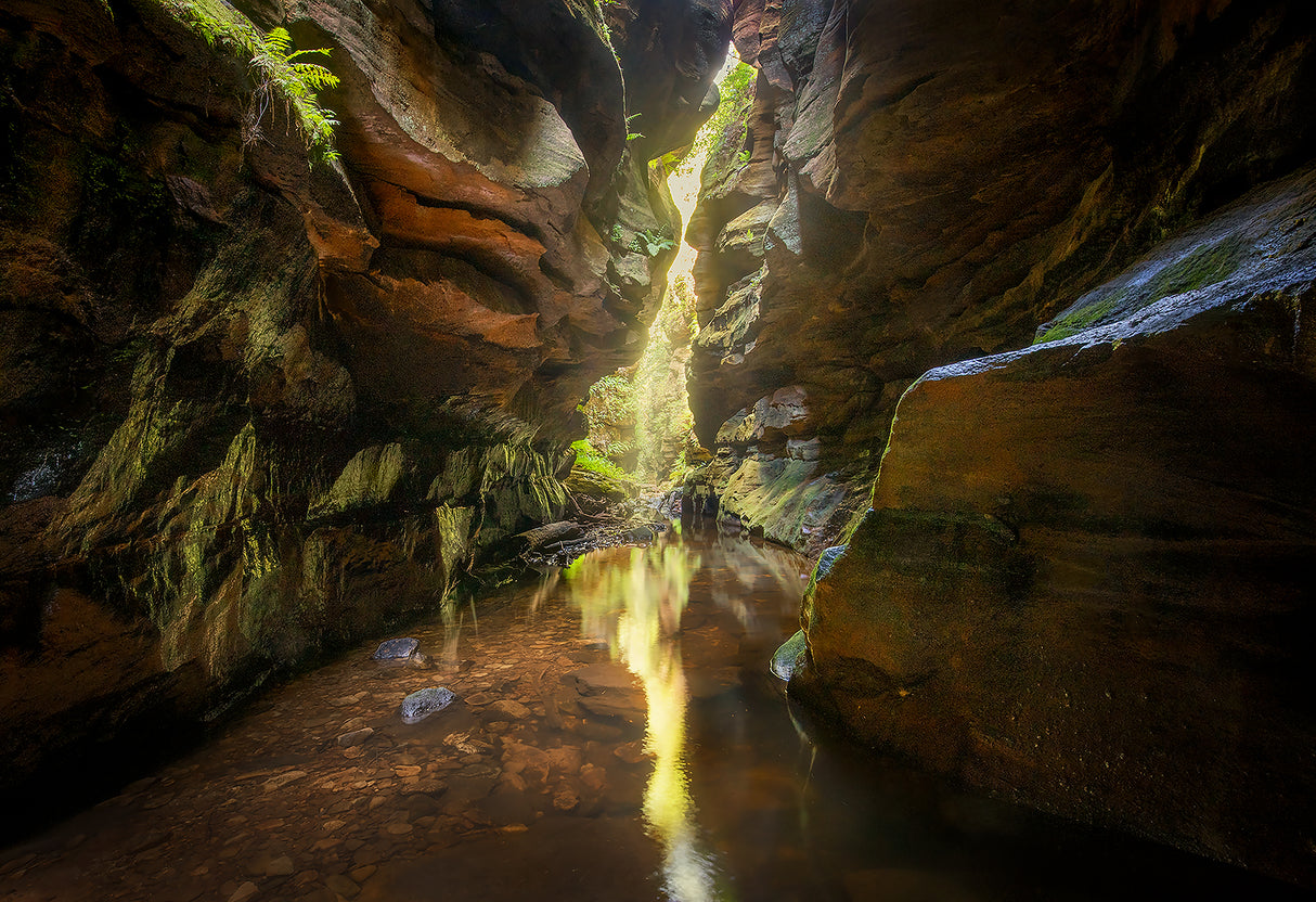 Canyon Light Poster och Canvastavla