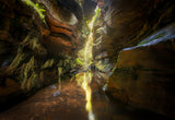 Canyon Light Poster och Canvastavla