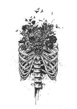 New life Poster och Canvastavla