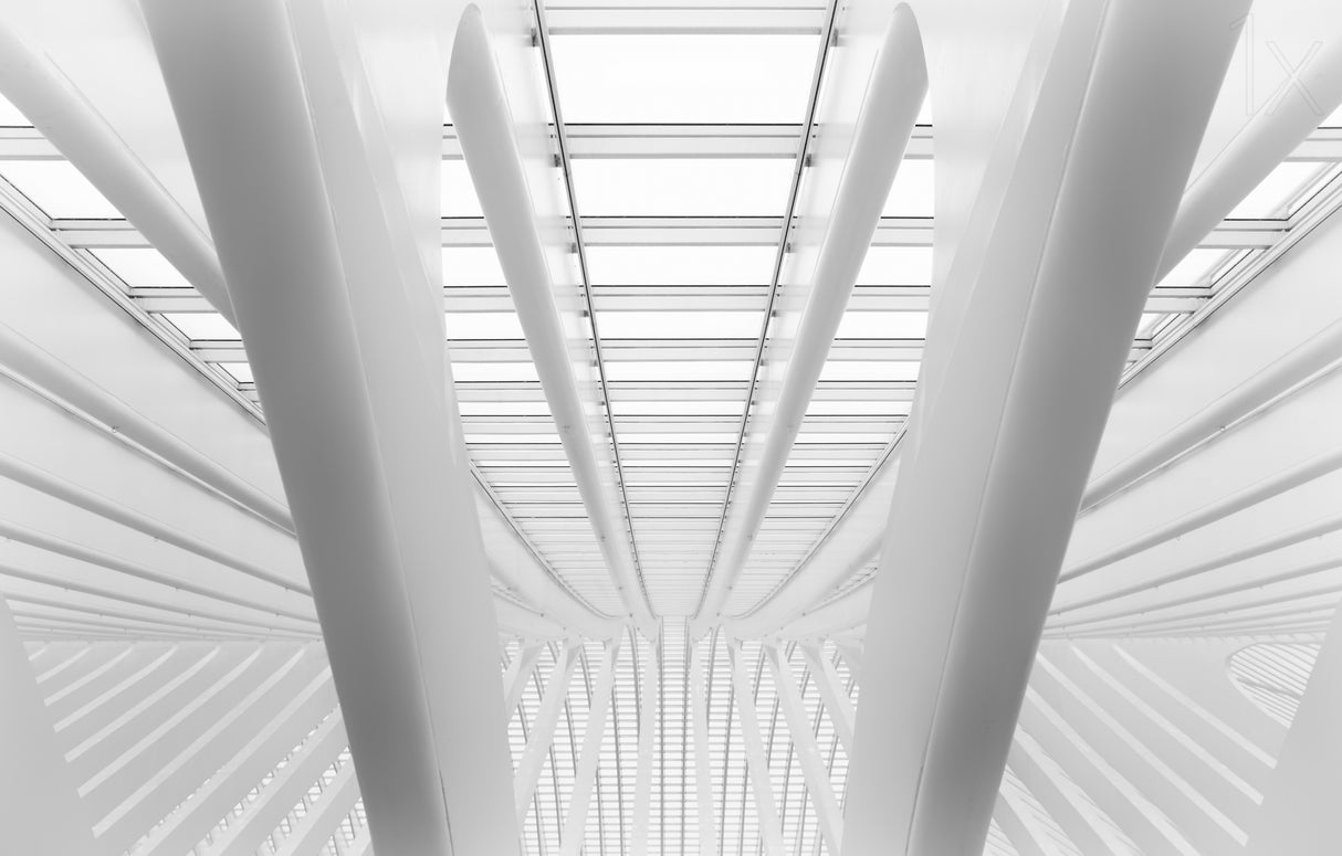 Between the lines. Poster och Canvastavla