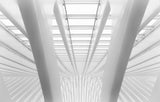 Between the lines. Poster och Canvastavla