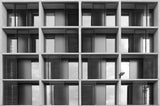 Living in the grid Poster och Canvastavla