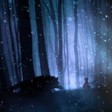 Little red riding hood Poster och Canvastavla