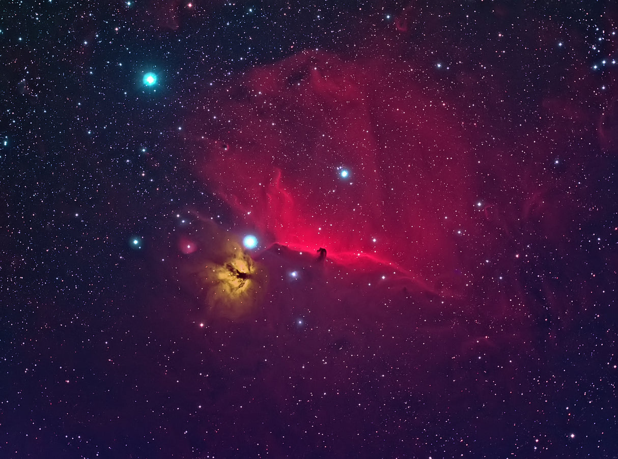 Horse head the dark Nebula Poster och Canvastavla