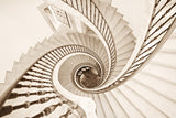 Helix vertigo Poster och Canvastavla