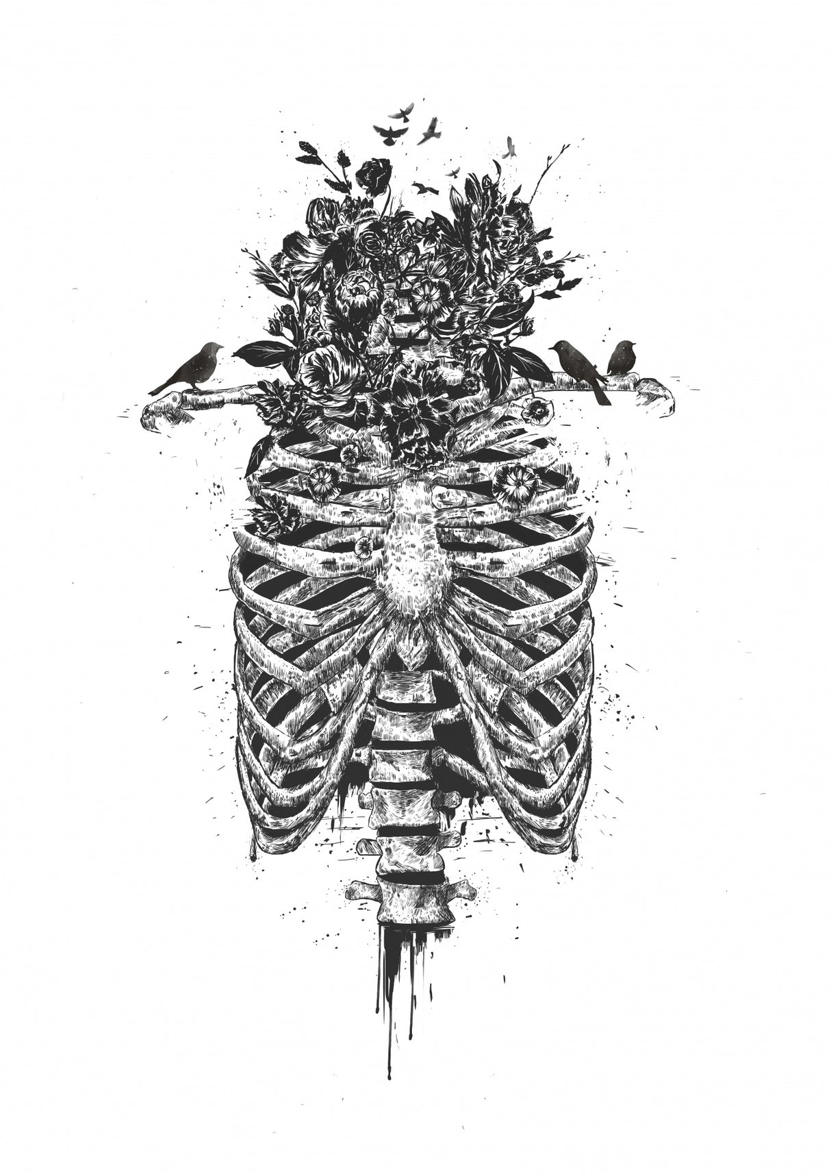 Tree of life Poster och Canvastavla