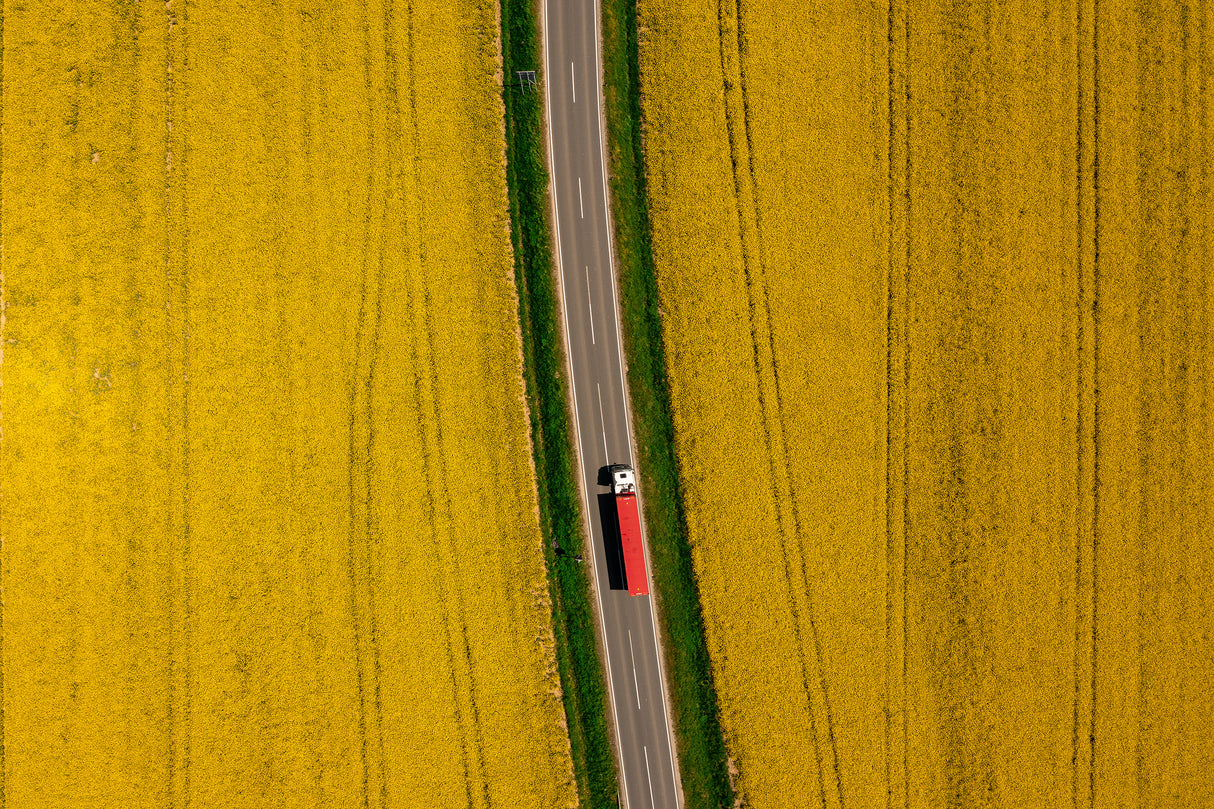 Red truck Poster och Canvastavla