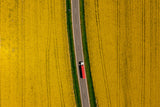Red truck Poster och Canvastavla
