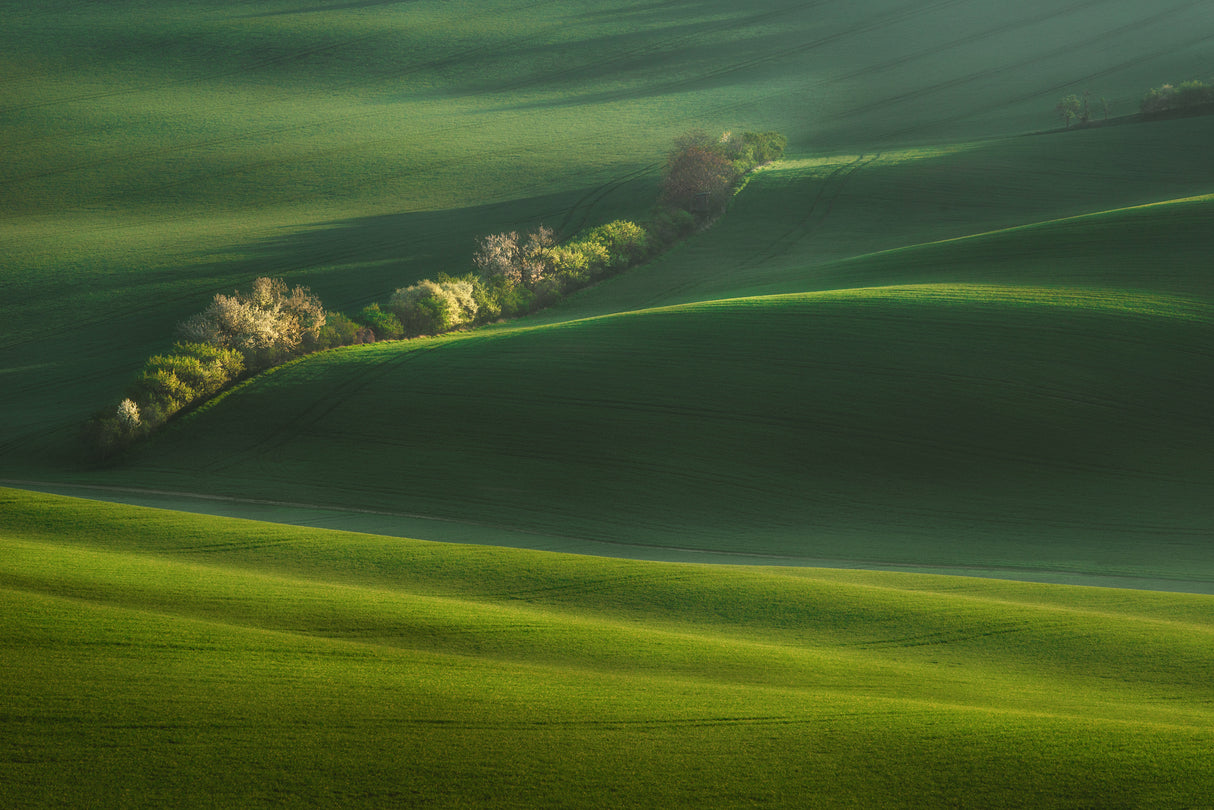Moravian fields Poster och Canvastavla