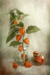 Lanterns Poster och Canvastavla