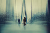 Stay Hungry, Stay Foolish (Steven Jobs) Poster och Canvastavla