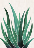 Desert Agave Cactus Poster och Canvastavla