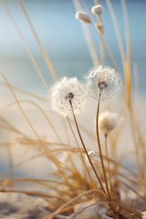 Beach Impressions No 3 Poster och Canvastavla