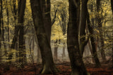 Hidden Beauty Poster och Canvastavla