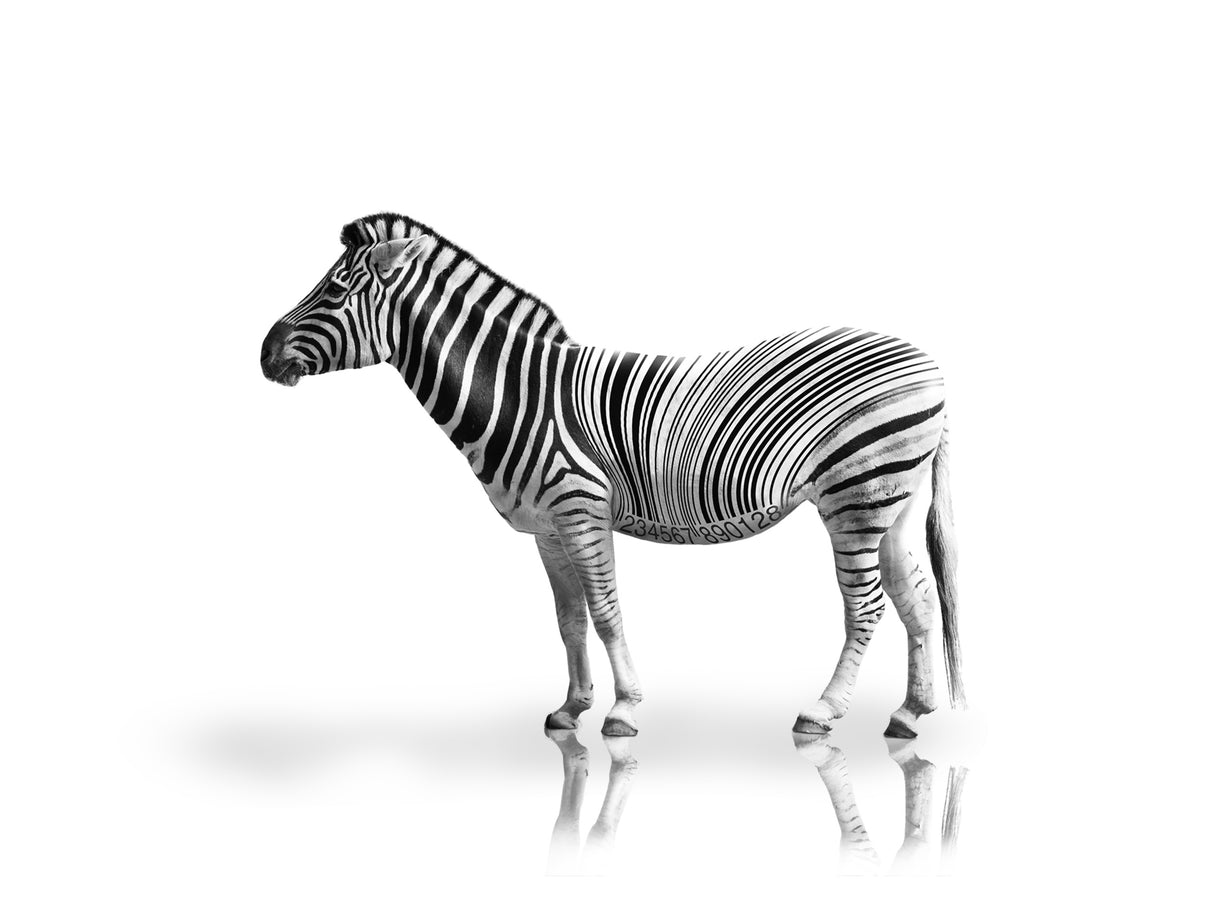 digital goes wild Poster och Canvastavla