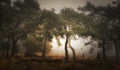 Foggy memory  of the past Poster och Canvastavla