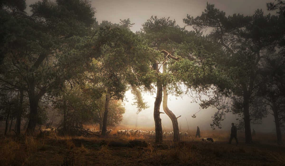 Foggy memory  of the past Poster och Canvastavla