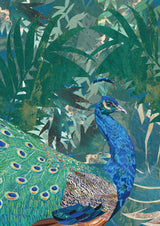 Peacock in the tropical jungle Poster och Canvastavla