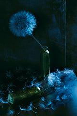 Summer blues Poster och Canvastavla