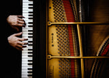 The pianist Poster och Canvastavla