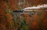 Museum train Poster och Canvastavla