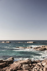 Oyster Bay Poster och Canvastavla