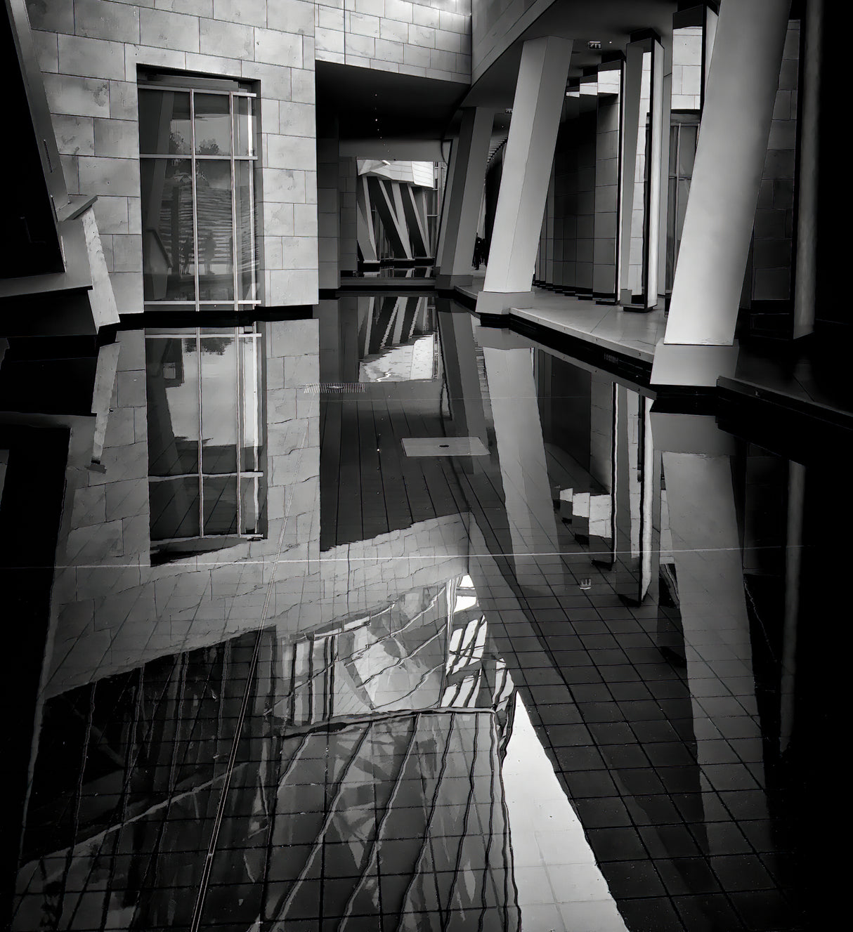 Symmetrical Reflections Poster och Canvastavla