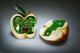 Apple core Poster och Canvastavla