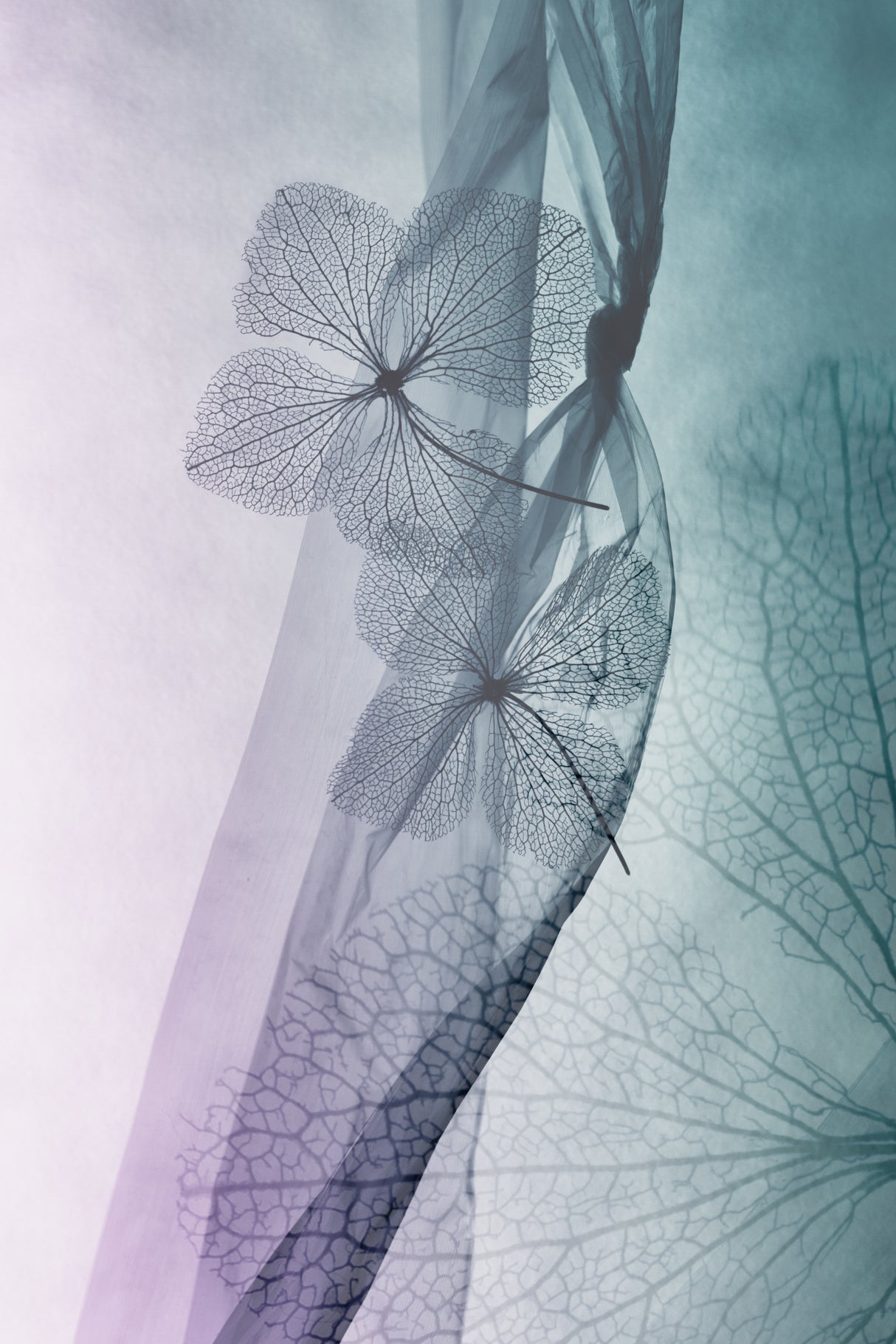 Dream of distant day Poster och Canvastavla