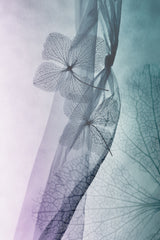Dream of distant day Poster och Canvastavla